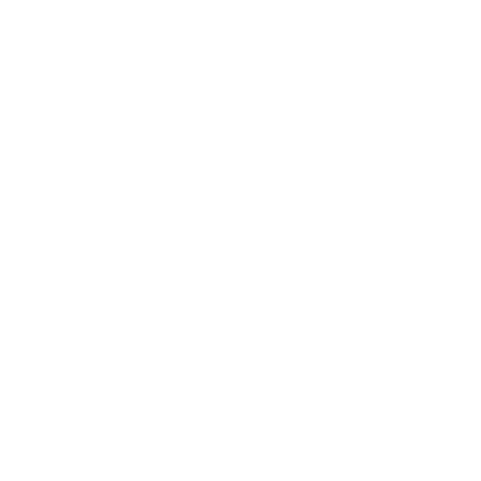 Lady Jane Family Dogs | Purebred Miniature Schnauzers